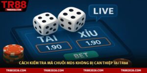 Cách Kiểm Tra Mã Chuỗi Md5 Không Bị Can Thiệp Tại TR88