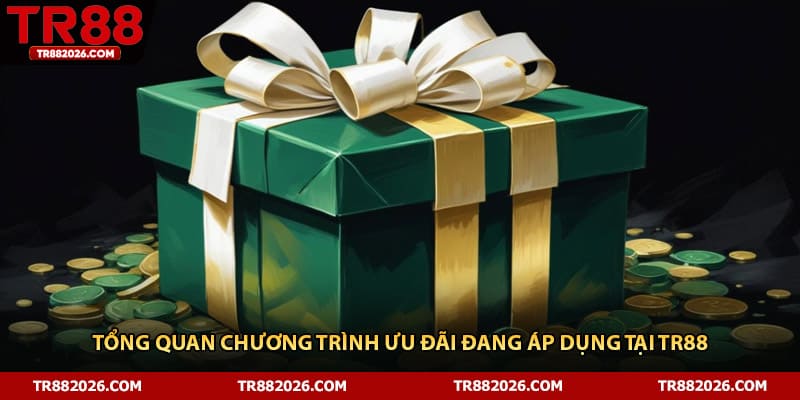 Tổng quan chương trình ưu đãi đang áp dụng tại TR88